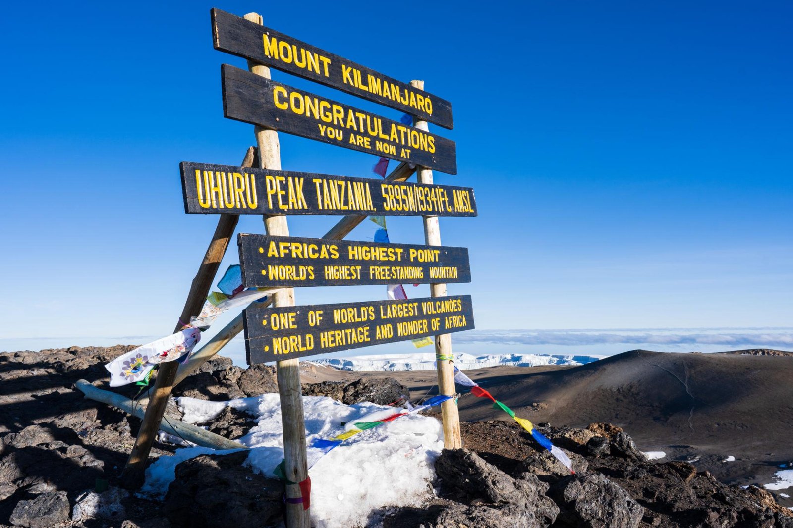 Lemosho Route Kilimanjaro climb