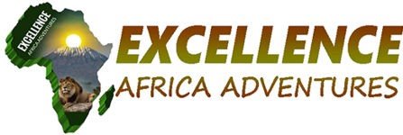 Excellence Adventures