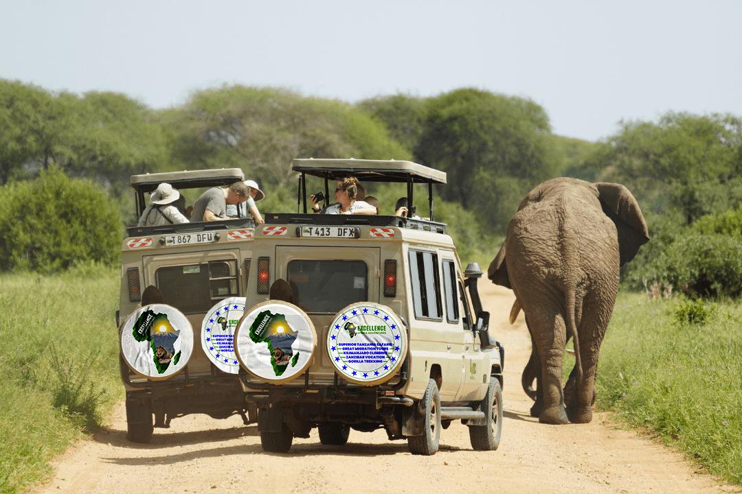 Tanzania safari with Excellence Africa Adventures